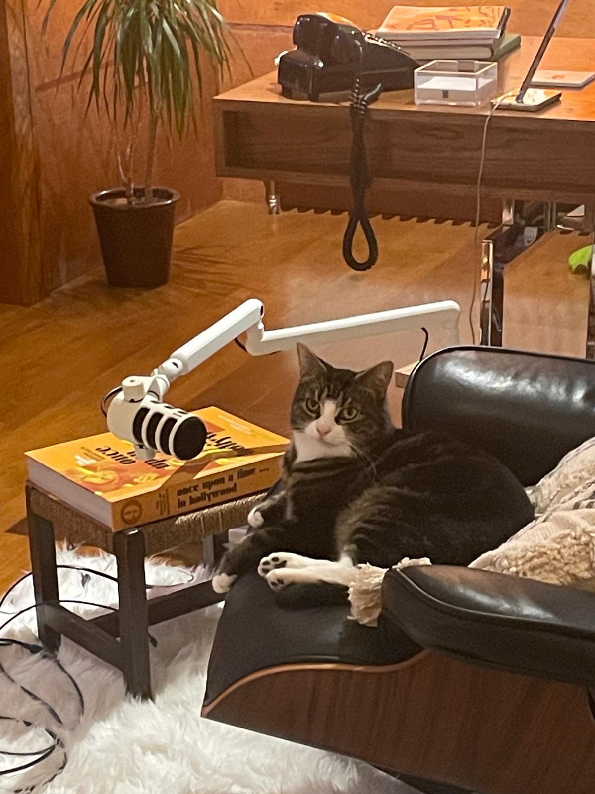 “Hello? Is this thing on?”