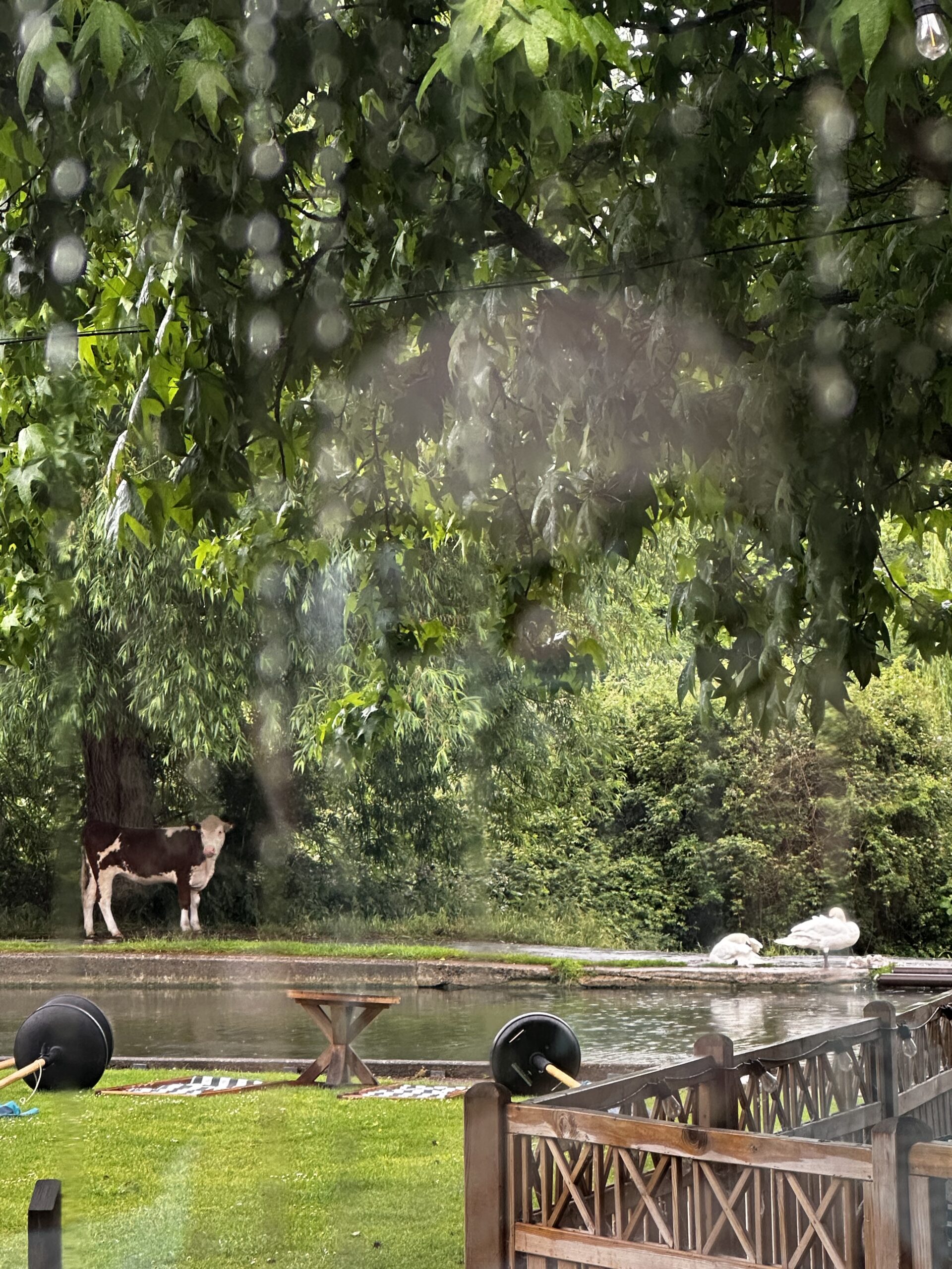 Why Didn’t Anyone Tell Me Cambridge Was This Lovely?