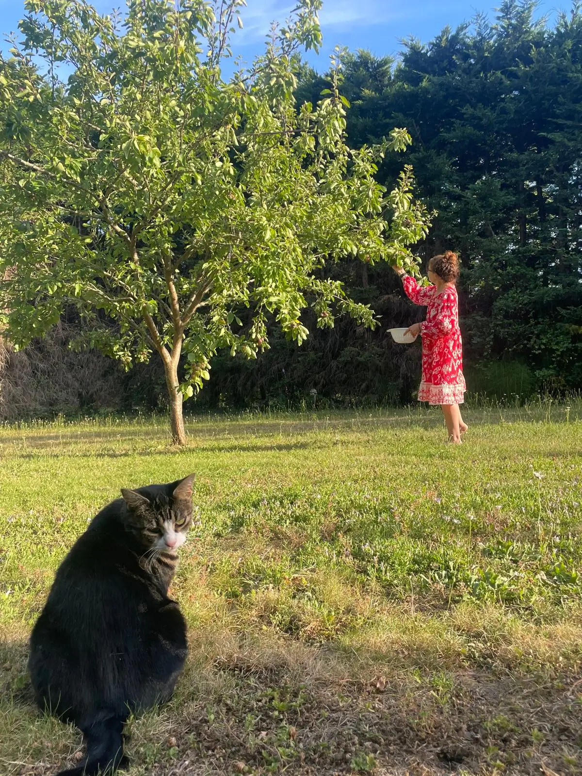 20 Metres From Home: A Survival Story